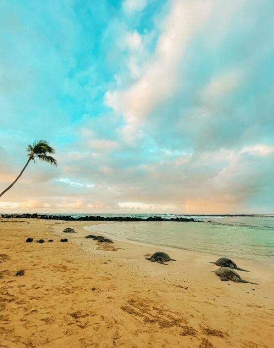 The romantic Coconut Coast of Kauai, Hawaii
