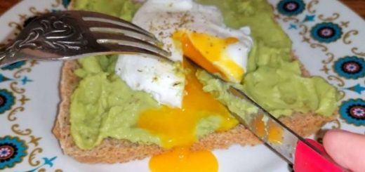 poached egg avocado on toast front cover