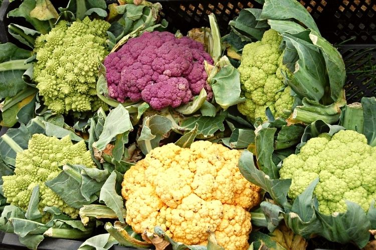 types of colourful cauliflower for creamy cauliflower mayonnaise salad or spread