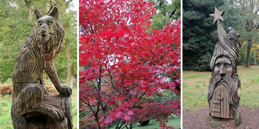 Westonbirt Arboretum, my favourite of the The finest forests of S-W England 